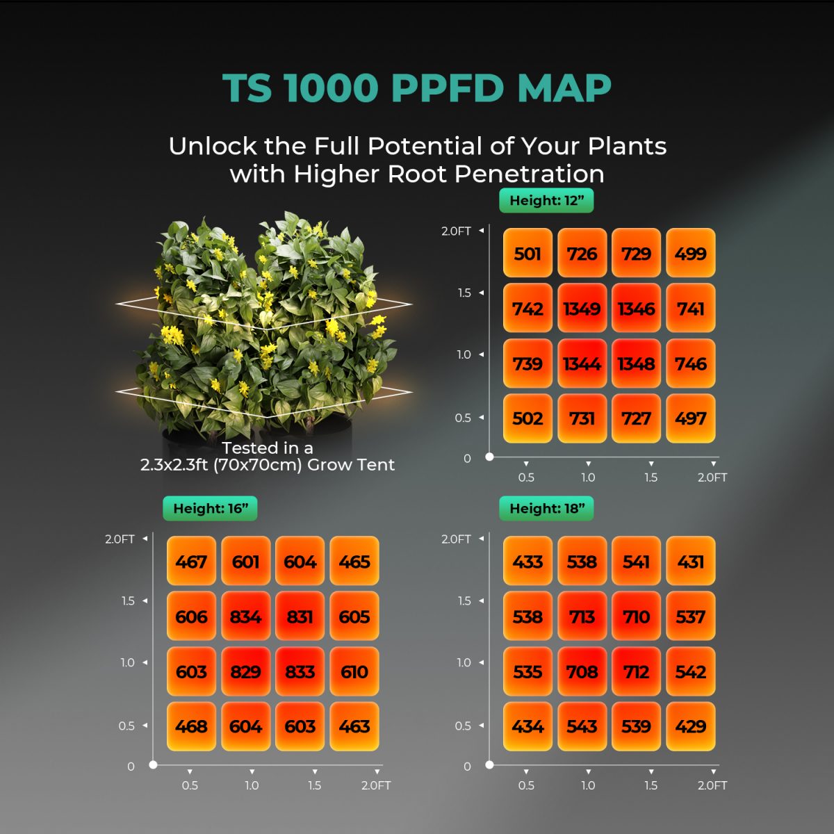 TS 1000 PPFD MAP