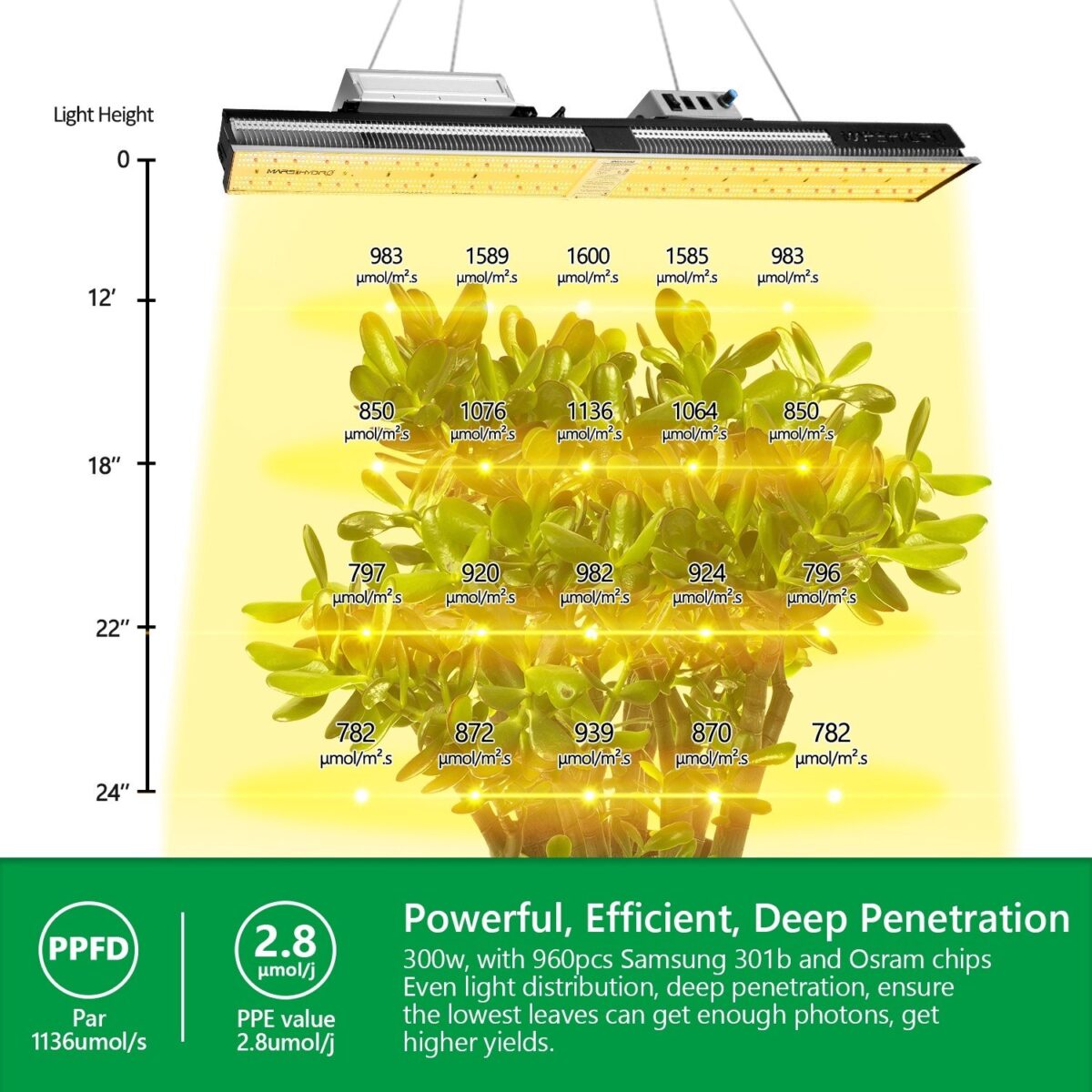 Mars Hydro SP3000 Greenhouse LED Grow Light Mars Hydro UK Official