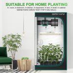 SUITABLE FOR HOME PLANTINGIn room