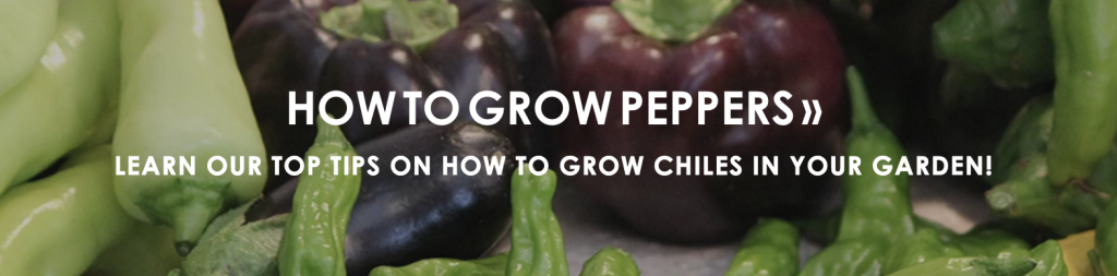 Grow lights deals for peppers