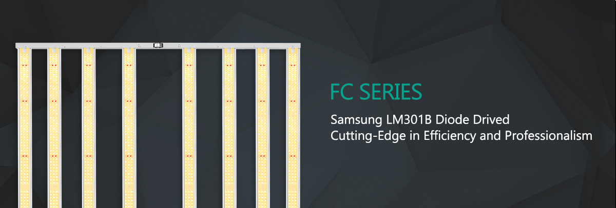FC Series Samsung LM301B Diode Drived Commercially Viable Efficiency and Professionalism