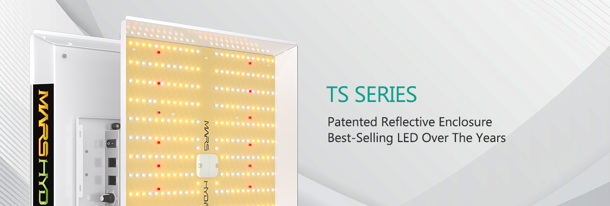 TS SERIES Patented Reflective Enclosure Best-Selling LED Over The Years