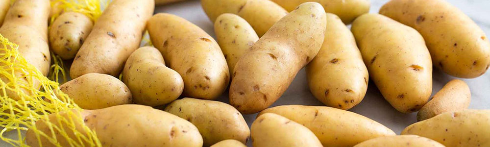 What Are the Best Potatoes To Grow?