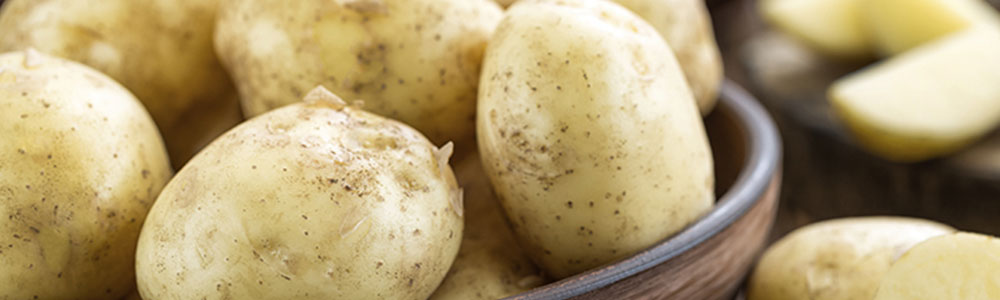 what are the best potatoes to grow?
