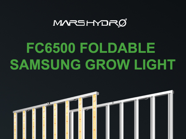 Mars Hydro FC6500 Samsung LM301B LED Grow Light - 9