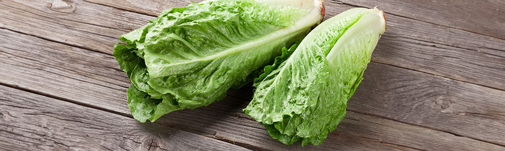 The Ultimate Guide To Lettuce and Salad Green Varieties