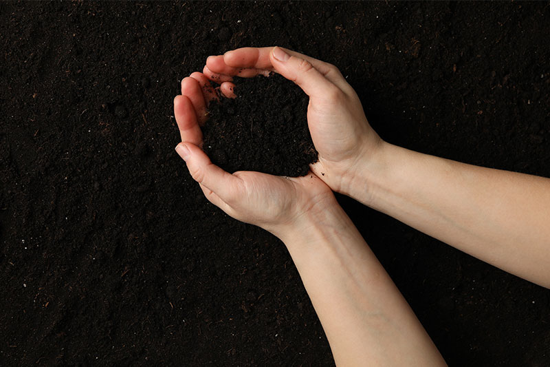 Woman hold soil on soil background.