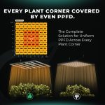 Evey plant corner covered by even PPFD-cm