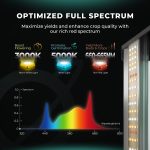 Full Spectrum of New FC4800-EVO led grow light