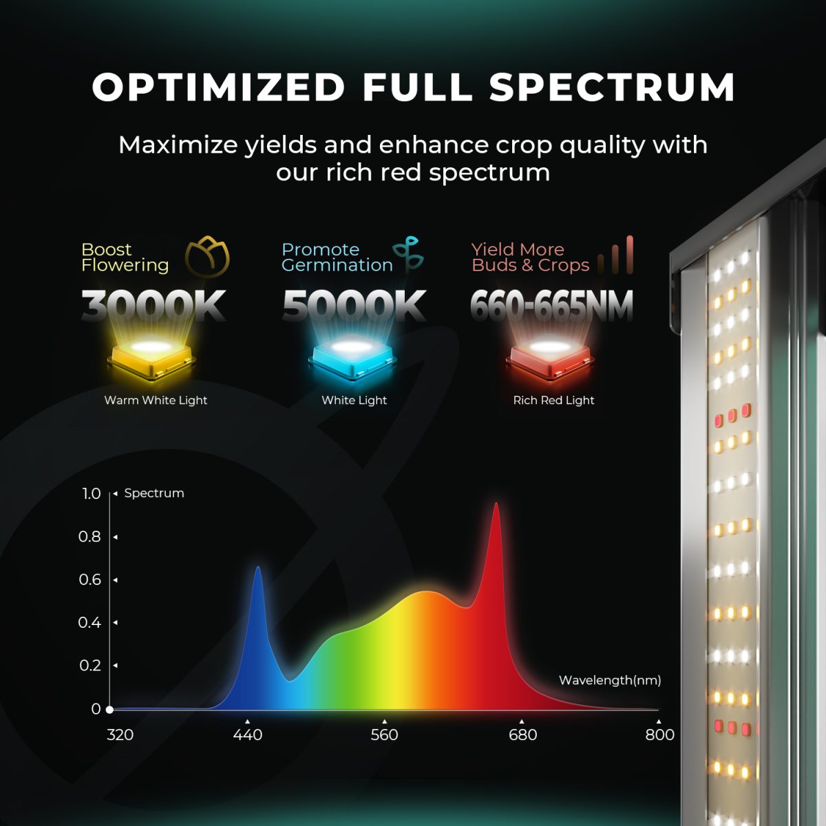 Full Spectrum of New FC8000-EVO led grow light