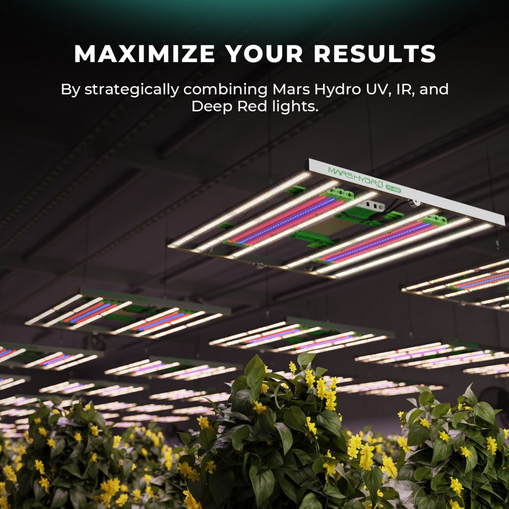 2024 New Deep Red R30 Supplemental LED Grow Light In UK- Mars Hydro UK ...
