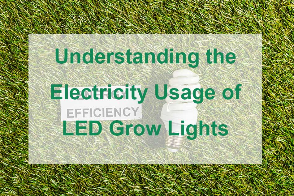 Understanding the Electricity Usage of LED Grow Lights