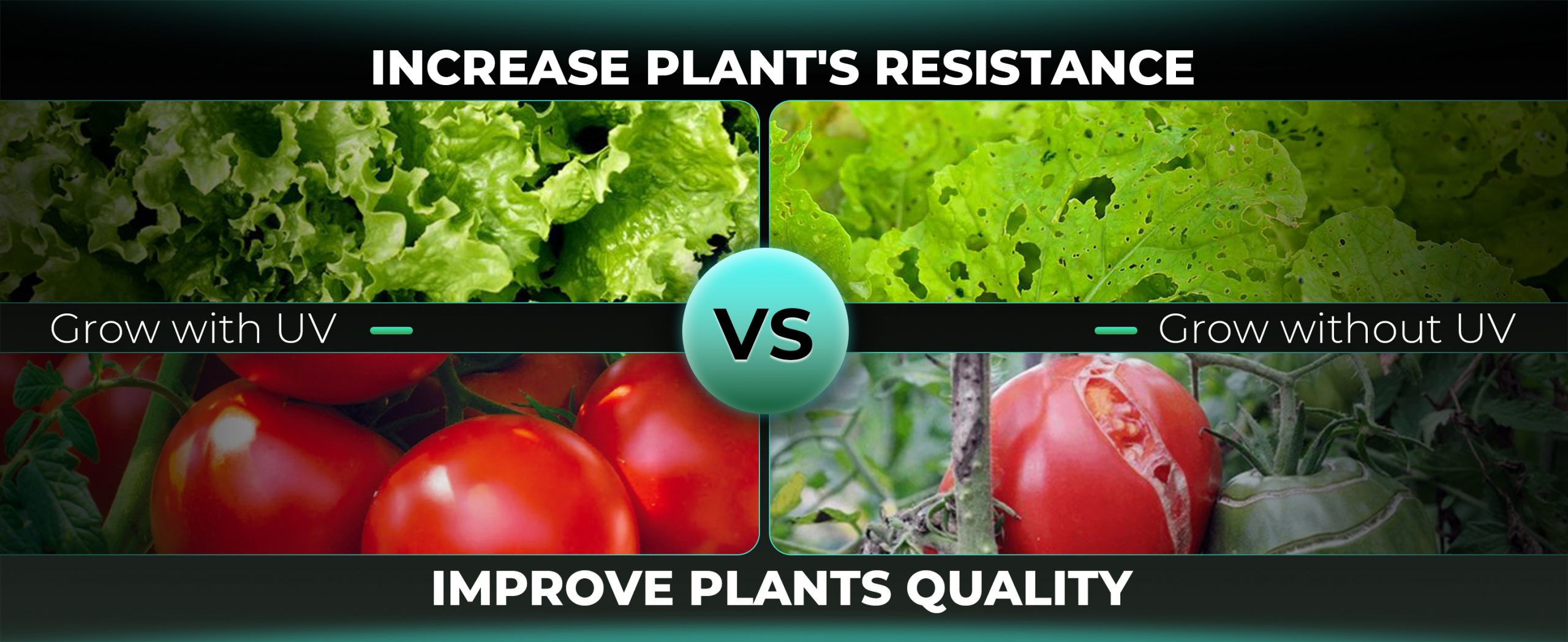 increase plants resistance with adlite uv supplemental light