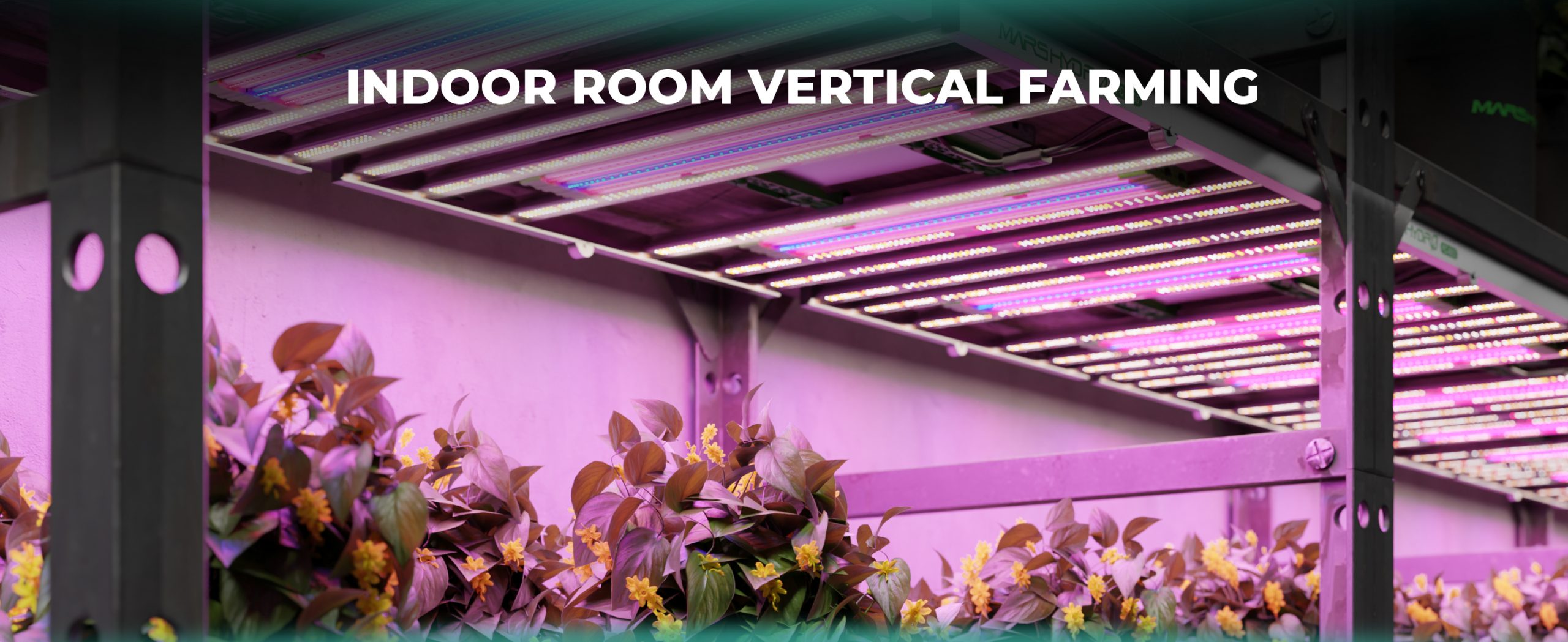 indoor room vertical farming with adlite supplemental light 2