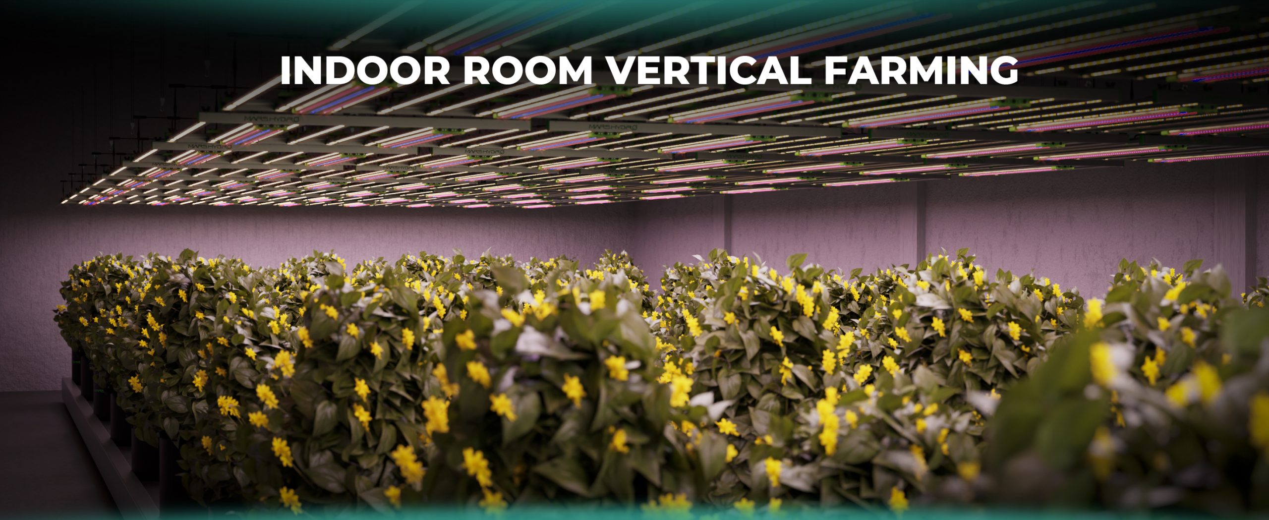 indoor room vertical farming with adlite supplemental light