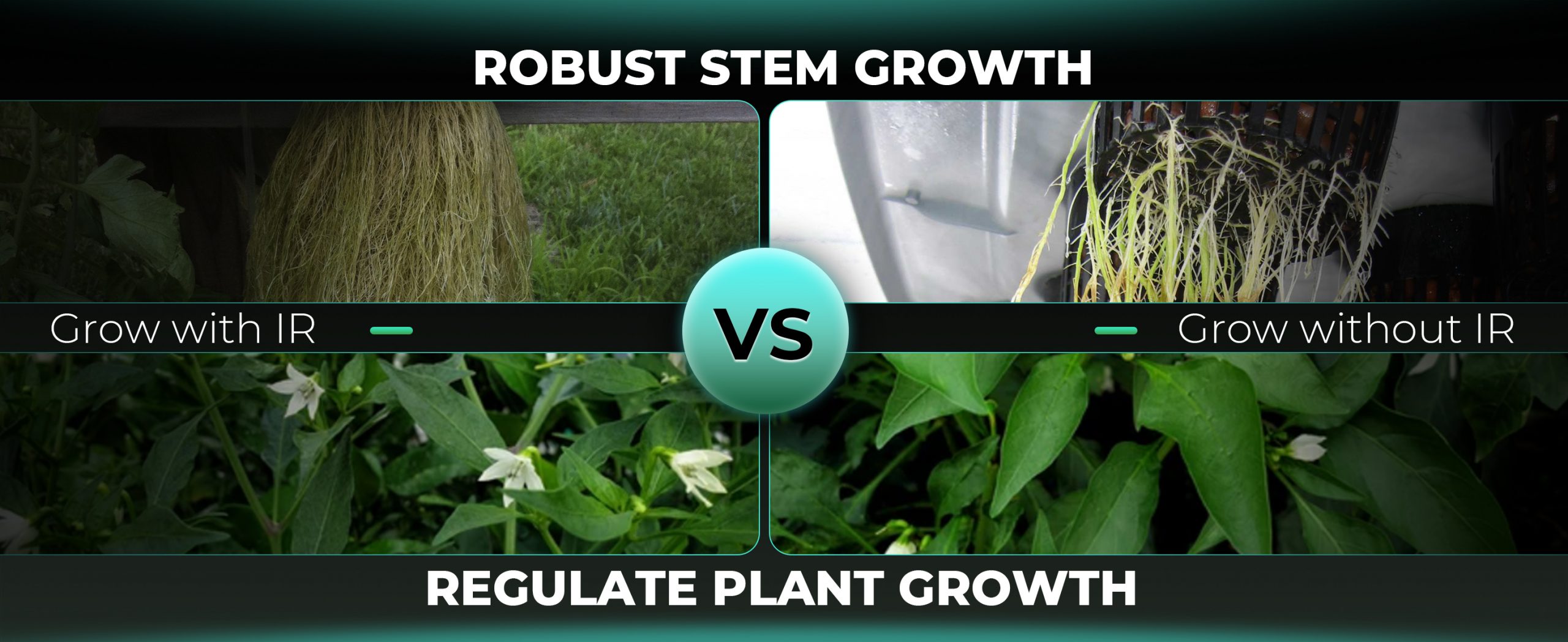 robust stem growth with adlite ir supplemental light