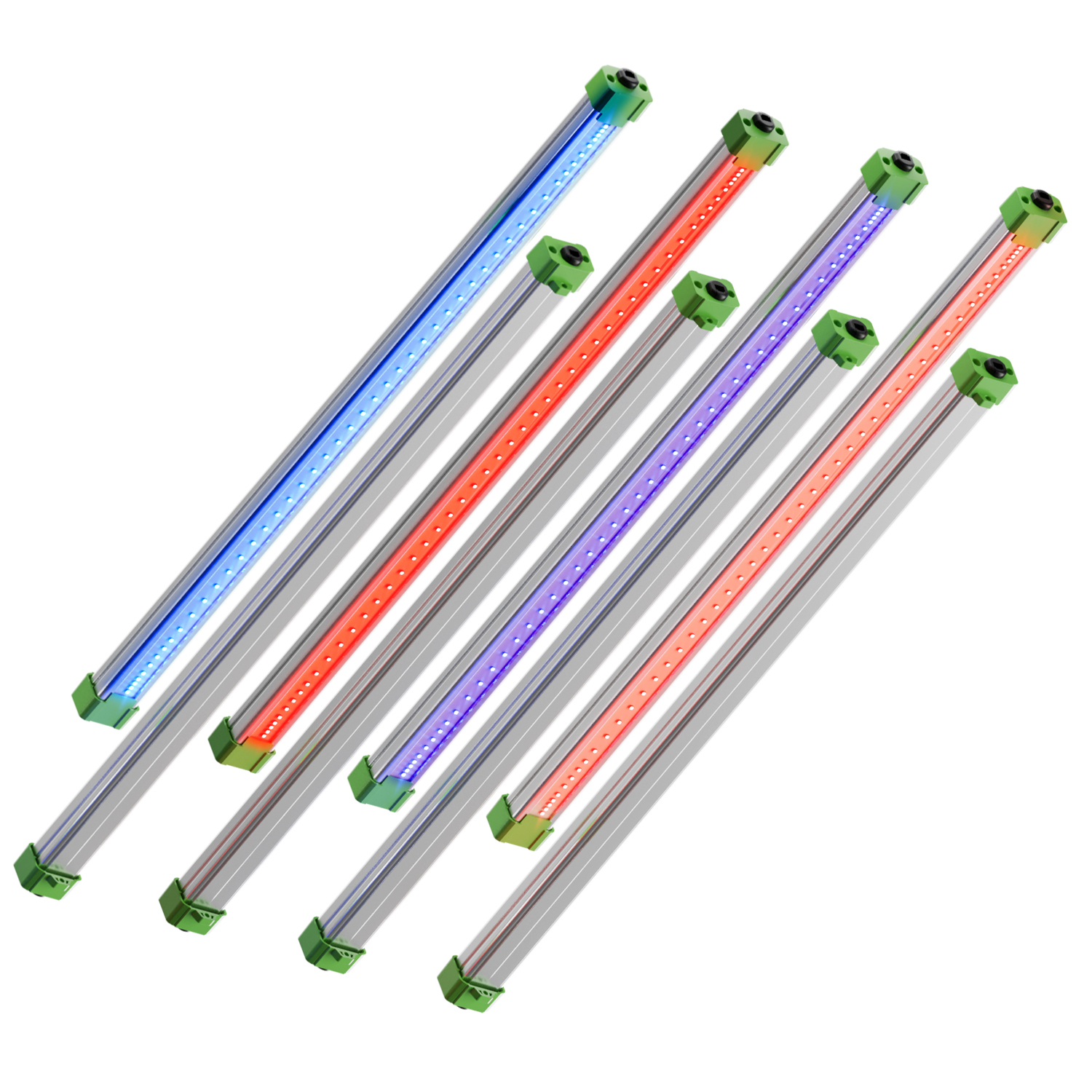 1-2025-new-adlite-supplement-led-id-picture-short