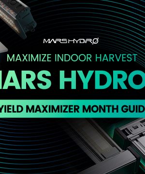 Maximize Indoor Harvest: Mars Hydro's Yield Maximizer Month Guide