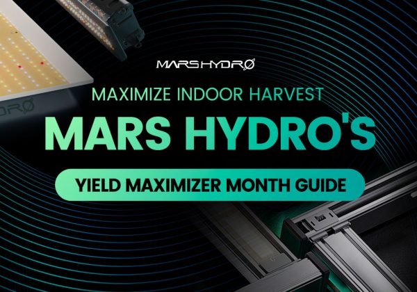 Maximize Indoor Harvest: Mars Hydro's Yield Maximizer Month Guide