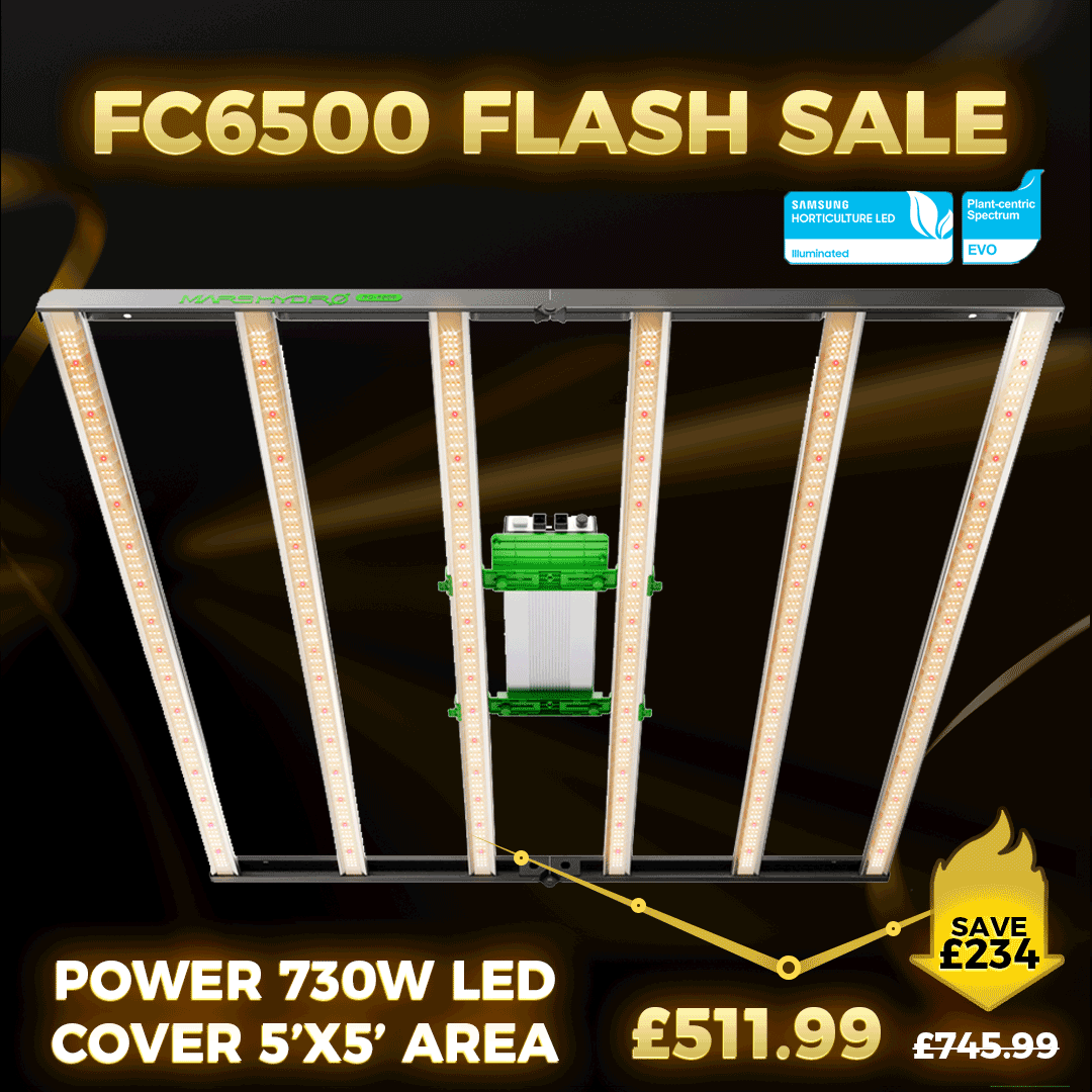 Mars-Hydro-UK-FC6500-FLASH-SALE-800x800