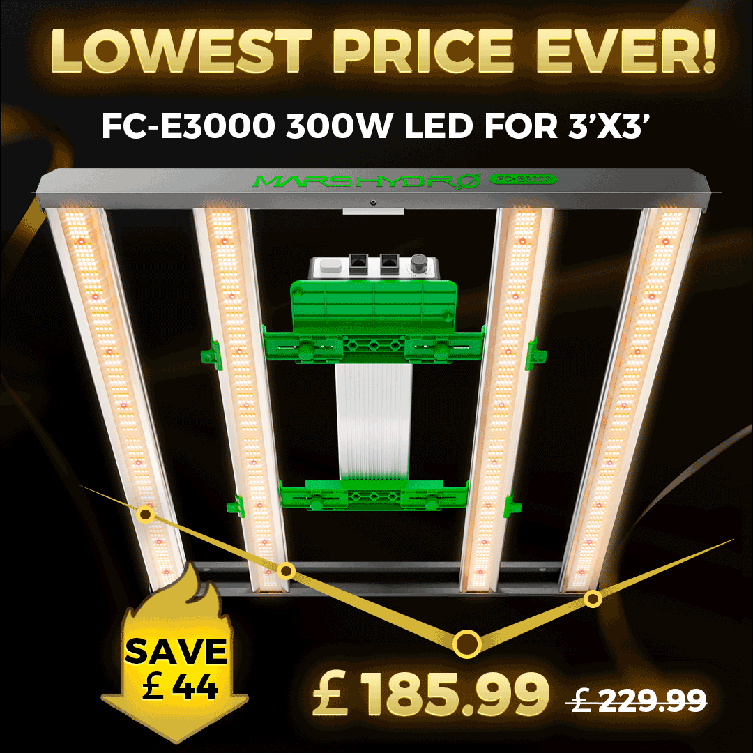 UK-FC-E3000