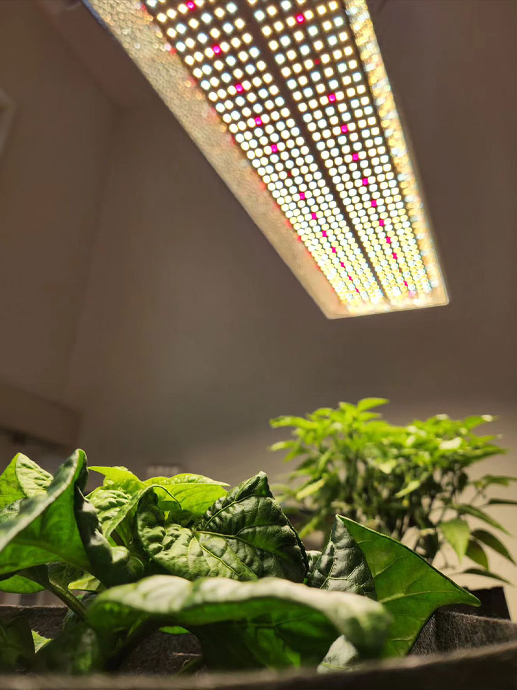 tsl2000 grow light