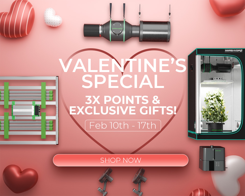 mars hydro valentine's deal