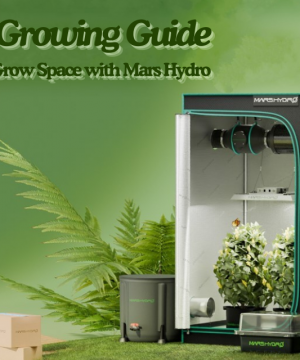 Spring Growing Guide: Create Your Grow Space with Mars Hydro