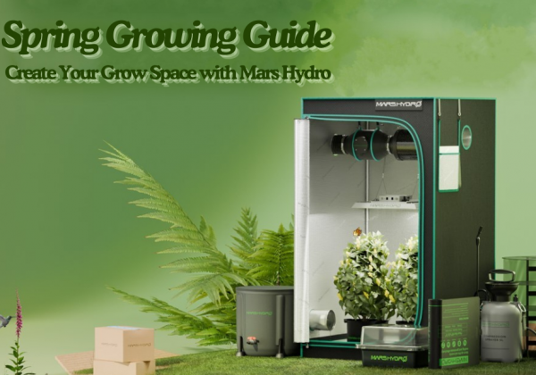 Spring Growing Guide: Create Your Grow Space with Mars Hydro