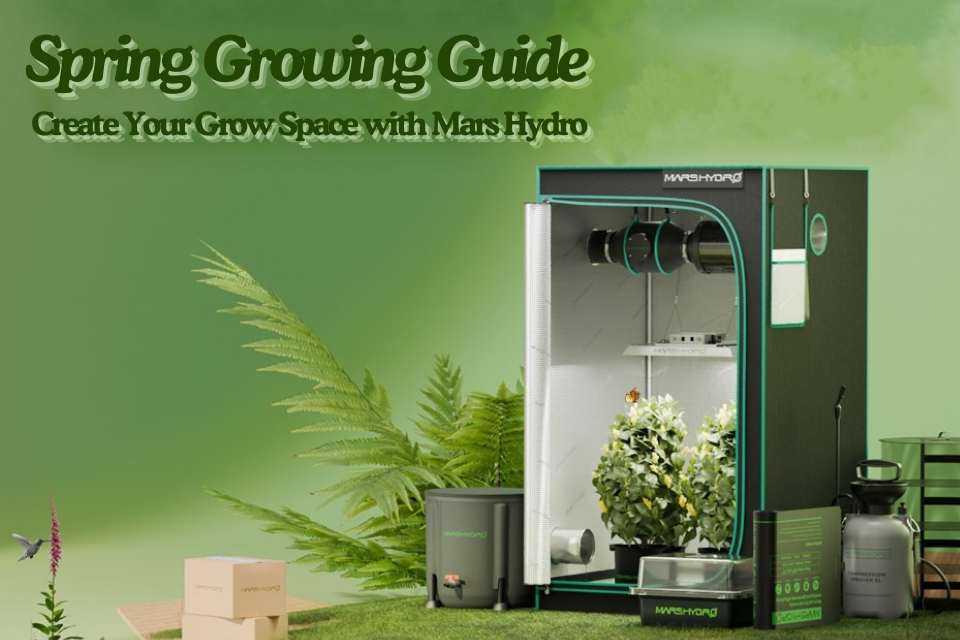 Spring Growing Guide: Create Your Grow Space with Mars Hydro