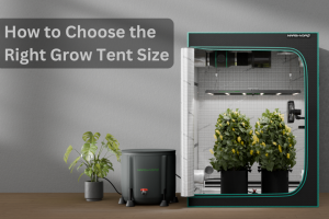 How to Choose the Right Grow Tent Size