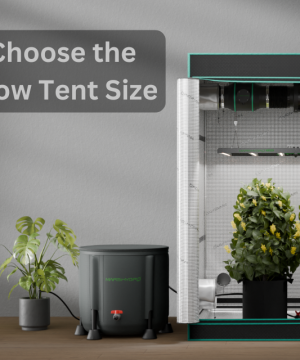 How to Choose the Right Grow Tent Size
