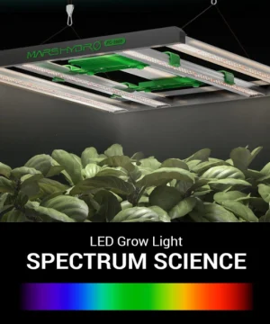 spectrum light