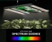 spectrum light