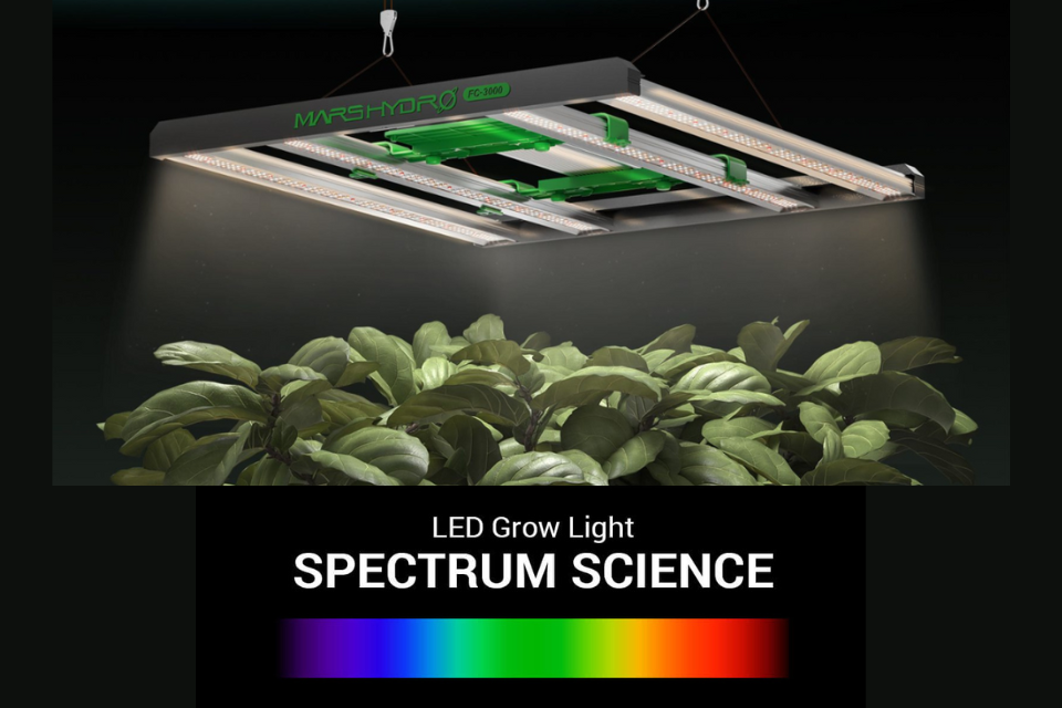 spectrum light