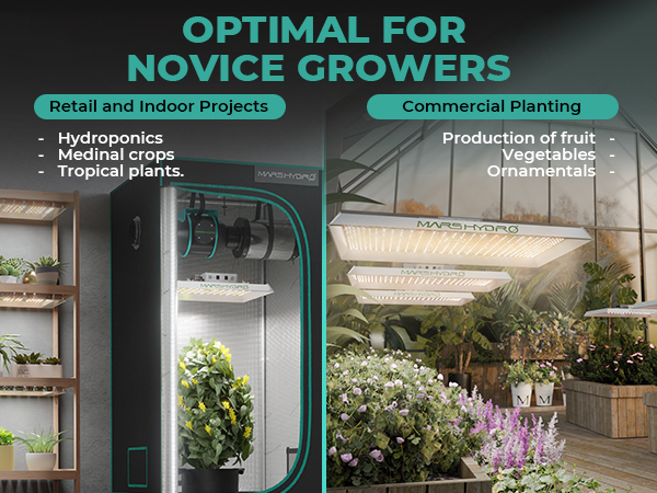 mars-hydro-ts1000-for-novice-growers.jpg