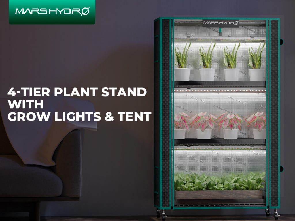 4-tier-plant-stand-M-with-grow-light-and-tent.jpg