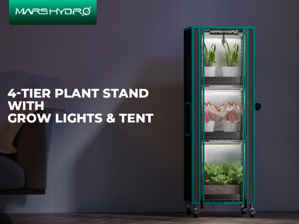 4-tier-plant-stand-S-with-grow-light-and-tent.jpg