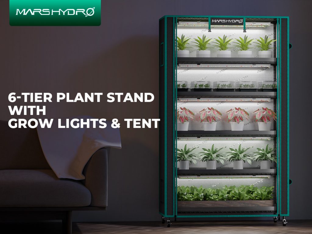 6-tier-plant-stand-L-with-grow-light-and-tent.jpg