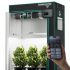 Mars Hydro FC4000-EVO LED Grow Light+4'x2'(120x60x180cm) Complete Grow Tent Kits with iControl Smart Controller