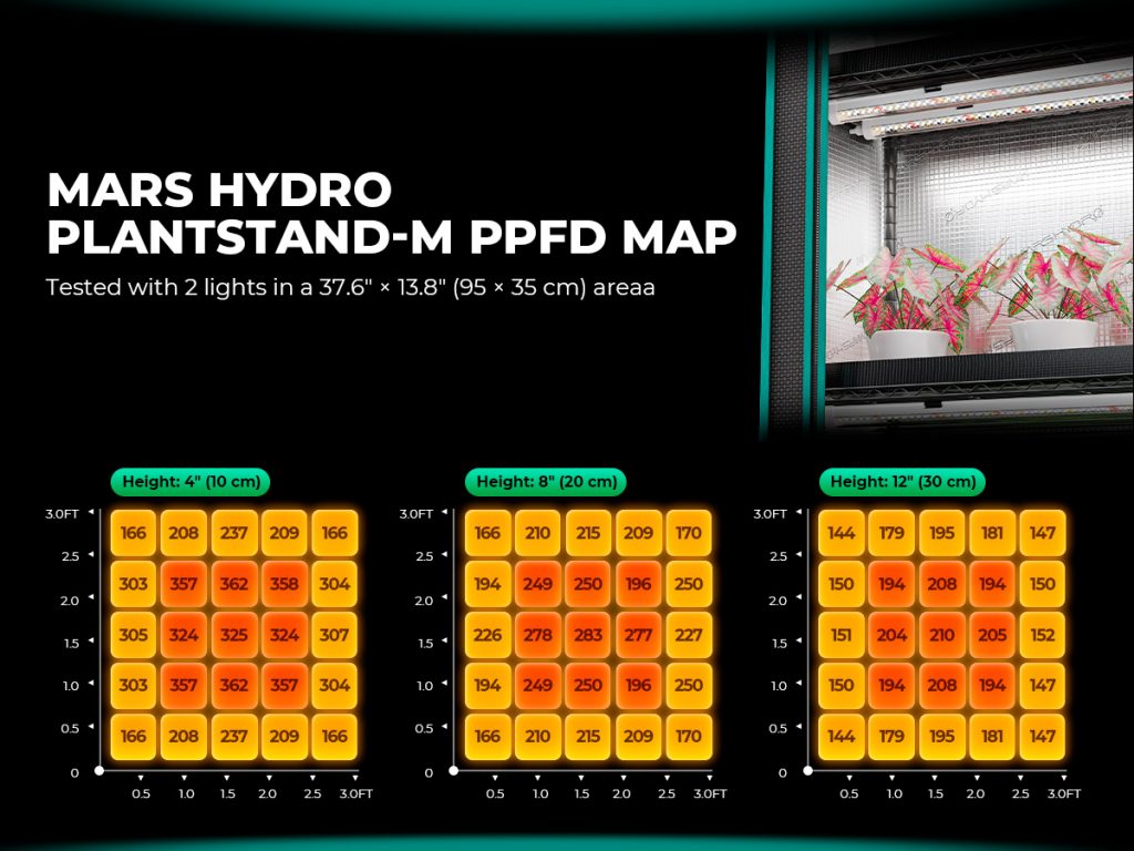 plant-stand-M-PPFD-map.jpg