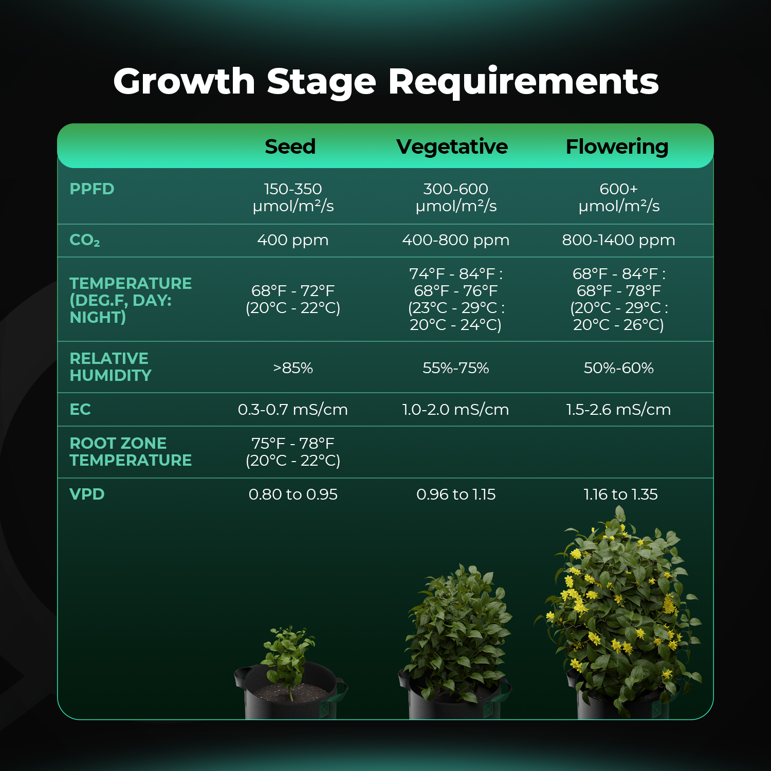 Growth-Stage-Requires