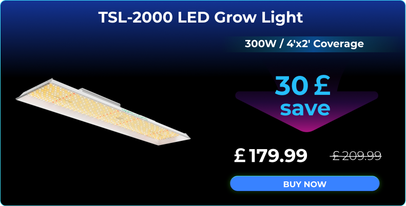 mars hydro TSL2000 led grow light